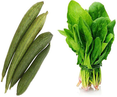 CYBEXIS Combo of Palak and Sponge Gourd Seed(10 g)