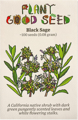 Qualtivate PUAS-9A Black Sage Seed(100 per packet)