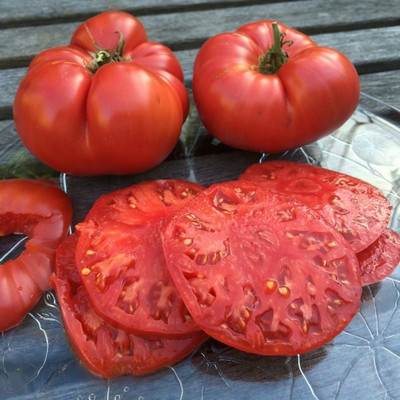 CYBEXIS Tomato Varieties—‘Caspian Pink’2000 Seeds Seed(2000 per packet)