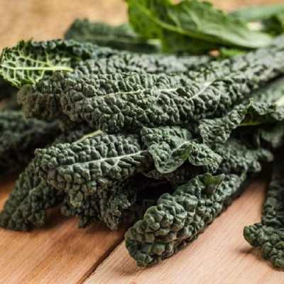 KNESSiN Curly Kale Seed(1250 per packet)