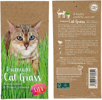 KNESSiN Cat Grass Fast Growing – Grass for Cats, Cat Plant – Cats Grass[2000 Seeds] Seed(2000 per packet)