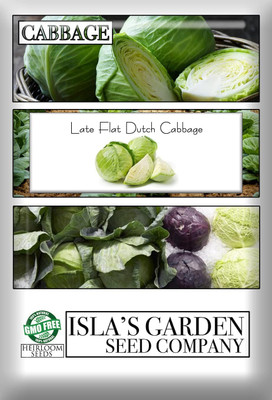 WILLVINE PUAS -X Late Flat Dutch Cabbage Seeds [2.5g] Seed(750 per packet)