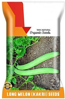 CYBEXIS GBPUT-10 - Long Melon (Very Long) - (1350 Seeds) Seed(1350 per packet)