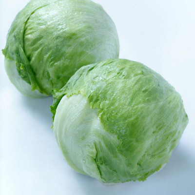 Quentova English Vegetable Green Lettuce-VNT-9M Seed(300 per packet)