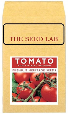 CYBEXIS Money Maker Tomato Hybrid Seeds2000 Seeds Seed(2000 per packet)