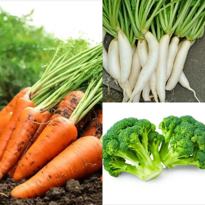 Aywal corrat ,white mooli, brocoli Seed(50 per packet)