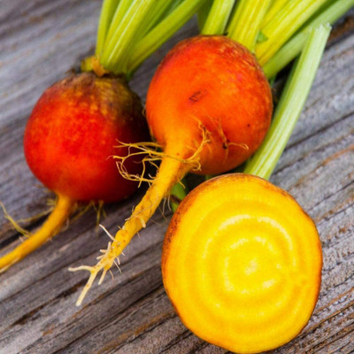 CYBEXIS Seeds of Golden Beetroot2000 Seeds Seed(2000 per packet)