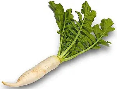LPR MULI ,WHITE RADISH Seed(20 per packet)