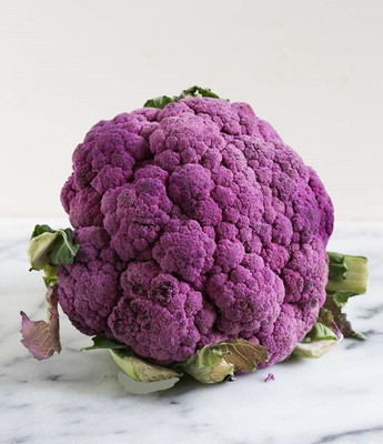 VibeX Cauliflower Seed(200 per packet)
