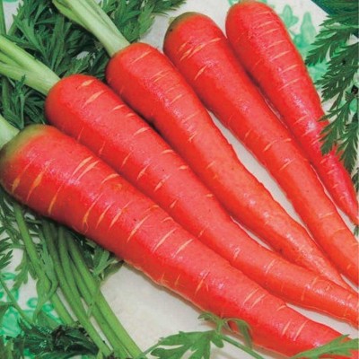 RUDAN Atomic Red Carrot Seed(2000 per packet)