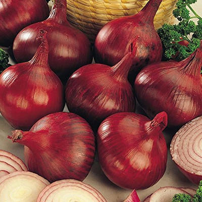 CRGO ONION , PYAAZ Seed(100 per packet)