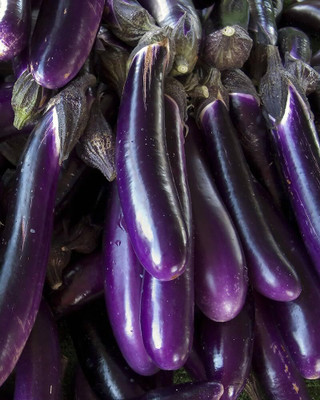 LPR BRINJAL SEEDS Seed(30 per packet)