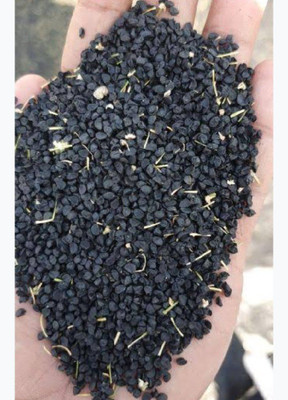 DEYS AGRO ™ onion seeds, nasik hybrid onion seeds, red onion vegetable seeds Seed(175 per packet)