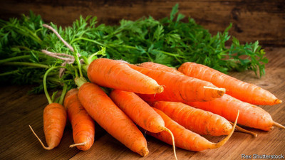 Hybrid Galaxy Organic galaxy carrot vegetable hybrid seeds 1-packet Seed(10 per packet)