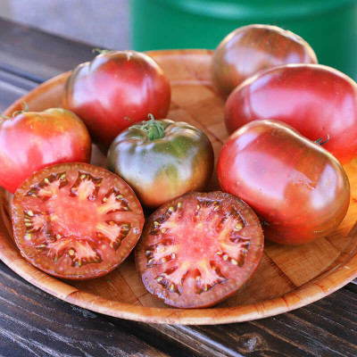Quentova TOMATO-VII-4A Seed(300 per packet)