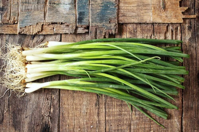 WILLVINE AGRI -VIII Bunching Green Onions Scallions Seeds [1g] Seed(750 per packet)