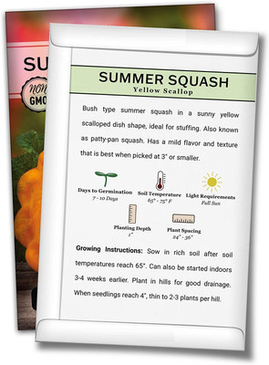 Biosnyg HFD-37 Yellow Scallop Summer Squash Seed-[100 Seeds] Seed(100 per packet)