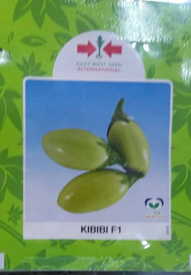 the green dotcom east west international hybrid vegetable kibibi brinjal 10 seeds Seed(100 per packet)