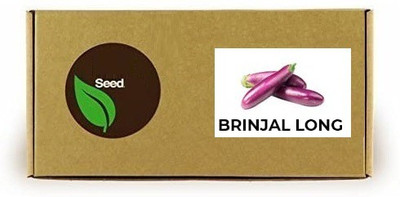 CYBEXIS Purple Brinjal Long2400 Seeds Seed(2400 per packet)