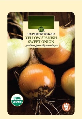 VibeX KGF -71 - Organic Yellow Sweet Spanish Onion - (4500 Seeds) Seed(4500 per packet)