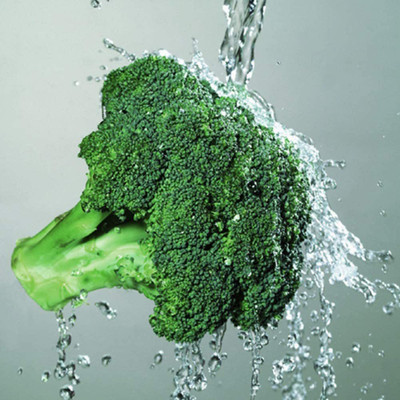 CYBEXIS Nutrition Vegetable Plant Broccoli Seeds2000 Seeds Seed(2000 per packet)