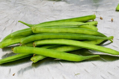 XOLDAA CLUSTER BEANS SEEDS Seed(55 per packet)