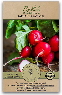 VibeX VVI-4 - Radish Scarlet Globe - (750 Seeds) Seed(750 per packet)