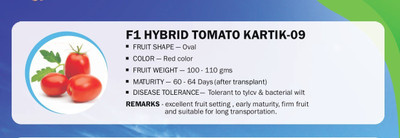 VibeX F1 HYBRID TOMATO KARTIK-09(2500 Seeds) Seed(2500 per packet)