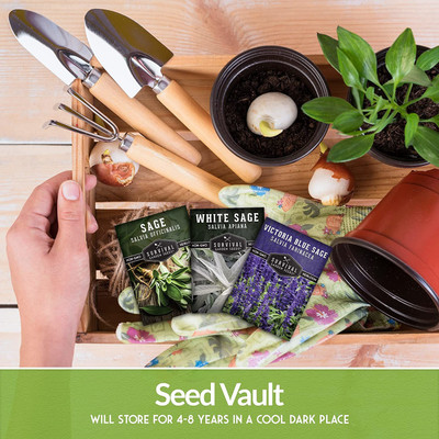 VibeX ATS-50 - White SageCulinary SageBlue Sage - (1350 Seeds) Seed(1350 per packet)