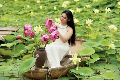 DEYS AGRO ™ lotus seeds for planting, lotus seeds hybrid plant Seed(12 per packet)