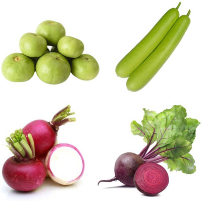 PSAgroinput TINDA-Lauki-Shaljam-Chukundar pack of 4 Seed(100 g)
