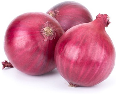 XOLDA Organic onion Seed(28 per packet)