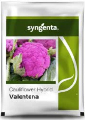 syngenta Cauliflower Seed(10 per packet)