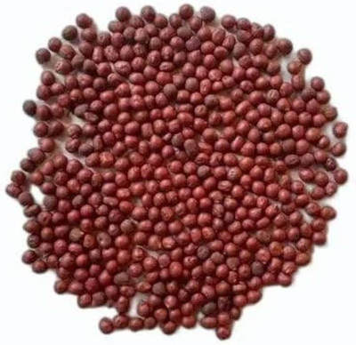 HAMPHU MSTP PLANT & SEEDS HYBRID LADY FINGER/OKRA SEEDS PACK OF 25 Seed(25 per packet)