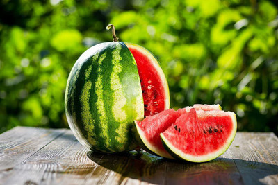 CYBEXIS XLR-57 - Giant Astrakhan Watermelon - (1350 Seeds) Seed(1350 per packet)