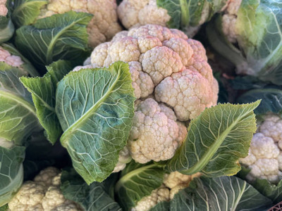 MYAT white cauliflower,gobhee seeds Seed(16 per packet)