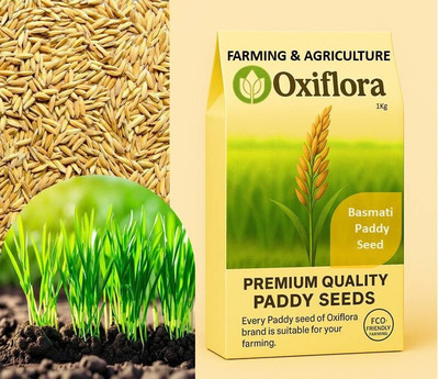 Oxiflora Basmati Paddy, Rice Seed for Farming & Agriculture Seed(1 kg)