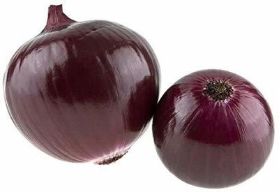VibeX ® VXI-1021 Black Gold Kanda Onion,Blackish Red Seed(1000 per packet)