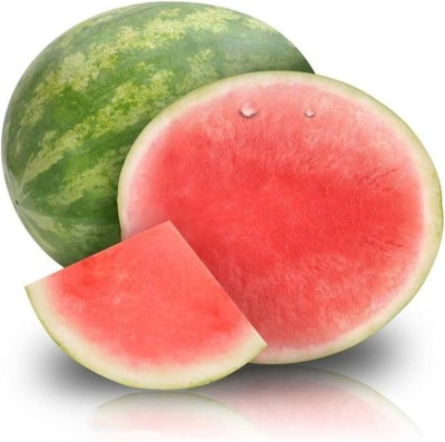 ActrovaX Melon Seedless Watermelon [100 Seeds] Seed(100 per packet)