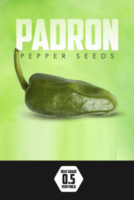 Biosnyg Organic Green Padron Pepper Seeds for Terrace Gardening-(400 Seeds) Seed(400 per packet)
