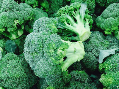 CRGO BROCCOLI Seed(250 per packet)