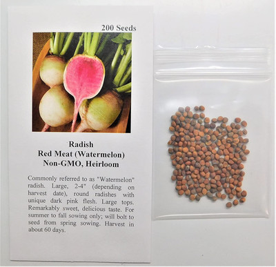 CYBEXIS HUA-31 - Radish Red Watermelon - (2250 Seeds) Seed(2250 per packet)