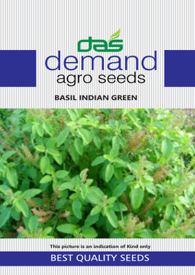 KRASHAK Tulsi, Indian Basil Seed(2 per packet)