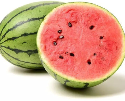 Quentova Sweet Watermelons Fruit तरबूज के बीज-NDIR-22B Seed(50 per packet)