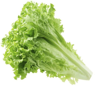 VIATION Green Lettuce Seed(50 per packet)