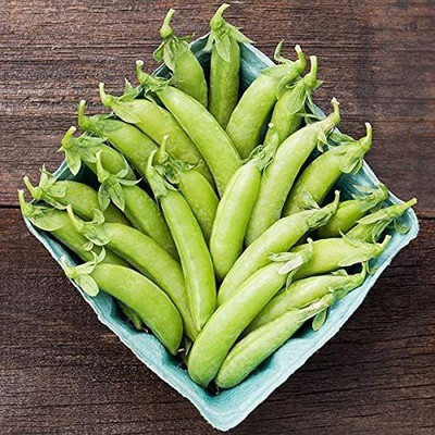 WILLVINE XLL-287 Cascadia Sugar Snap Pea Seeds Seed(50 per packet)