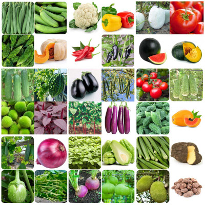 the green dotcom 40 Variety Summer Vegetable Seeds Hybrid Seed(2100 per packet)