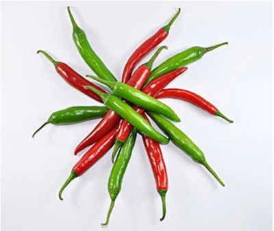 greenfarm NXZ- Chilli Seeds / Mirchi Seeds / Best Quality , 250 X Seeds ,kke67 Seed(250 per packet)