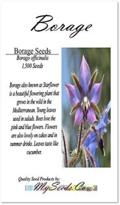 CYBEXIS VVI-4 - Blue Borage - (1350 Seeds) Seed(1350 per packet)