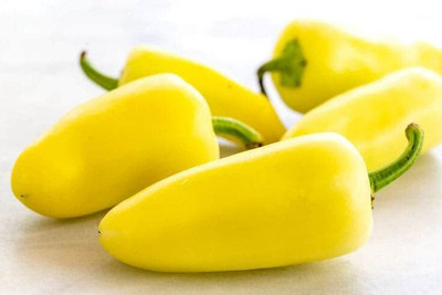 WILLVINE SYN -IV Yellow Bullet chilli[25gm, 5000 Seeds] Seed(5000 per packet)